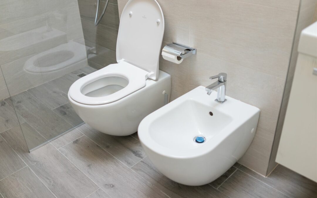 Équipements sanitaires à Saint-Dié : une solution pour préserver l’eau